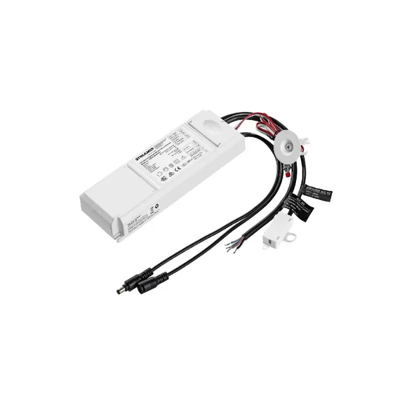 Driver de Secours pour Panneaux LED Sortie 10-50V DC 3W avec Autotest