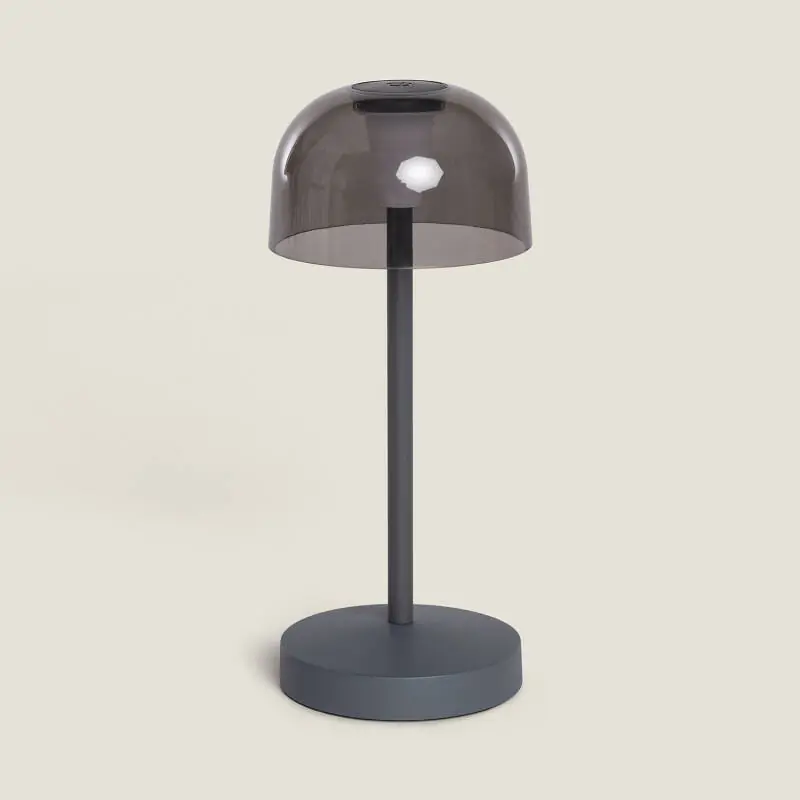 Lampe à Poser LED Portable pour Extérieur Métal avec Batterie Rechargeable Lendora Smoke