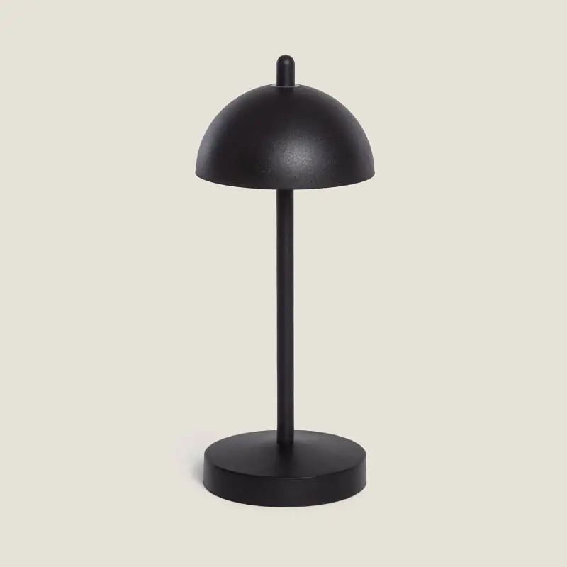 Lampe à Poser LED Portable Extérieure Métal avec Batterie Rechargeable Pirinoa