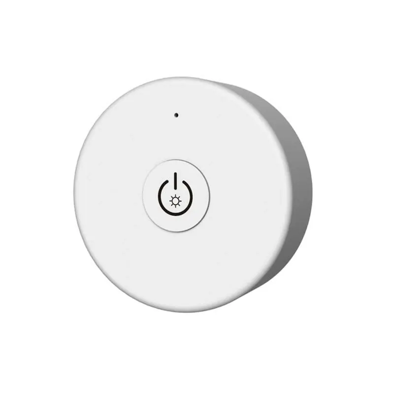 Télécommande Monochrome SKYDANCE R1-1 pour Contrôleur et Régulateur RF