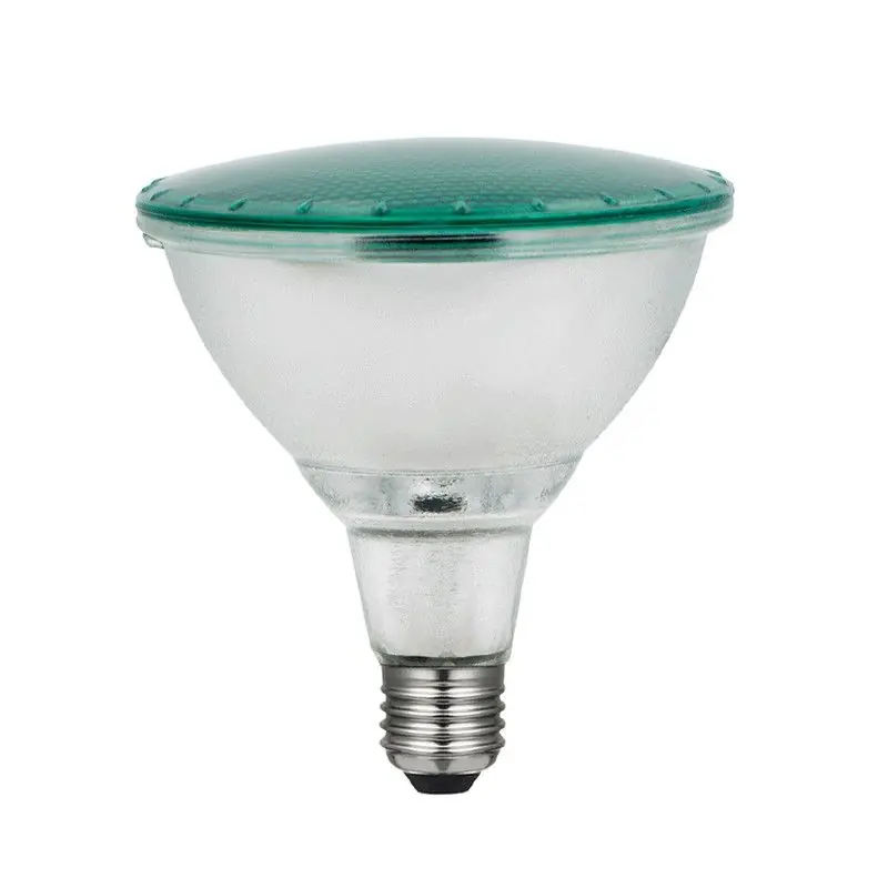 Ampoule par 38 ip65 15w vert 30º Laes