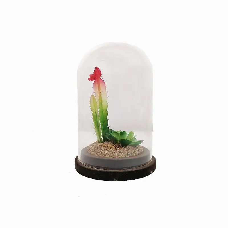 Plante artificielle sous cloche en verre 13x19cm