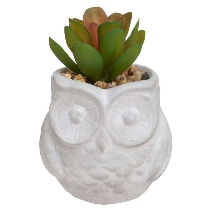Plante Grasse Artificielle 8cm avec pot hibou