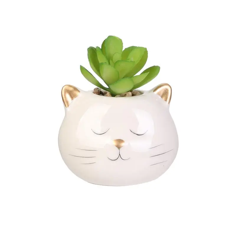 Plante Grasse Artificielle Céramique Animaux