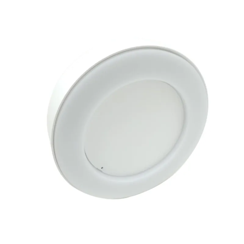 Applique Murale LED 15W COB IP65