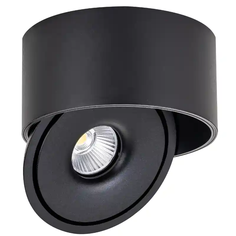 Spot LED en Saillie COB 30W Rond ø176mm Orientable CCT Noir - 3000K\\/4000K\\/6000K