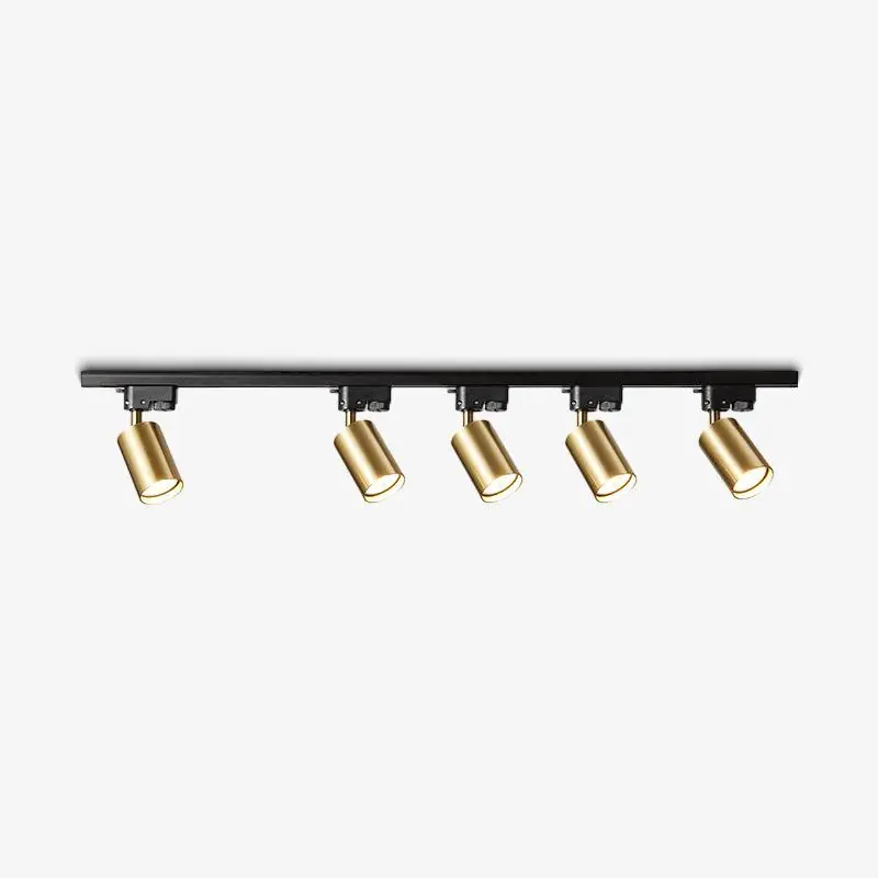 Adjustable Plafonnier Projecteur Rail LED