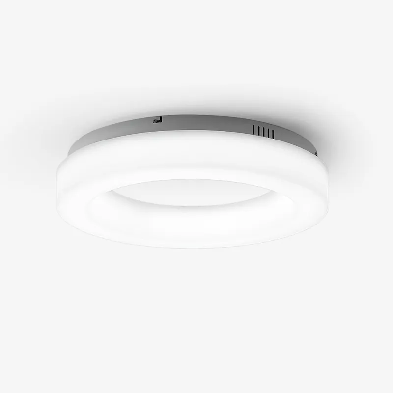 Erraeiel Deckenlampe Künstlerisch Modern Minimalistisch