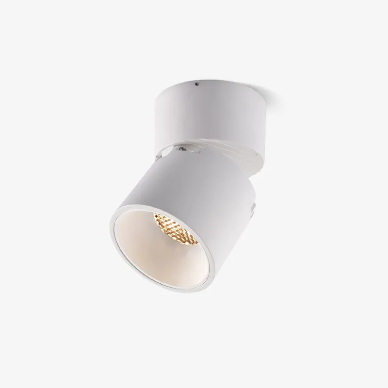 Alvynora Deckenleuchte Projektoren Minimalistisch Modern