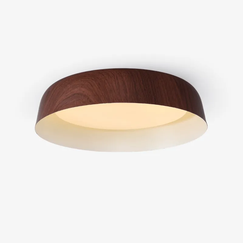 Moderne minimalistische Deckenleuchte Idorara