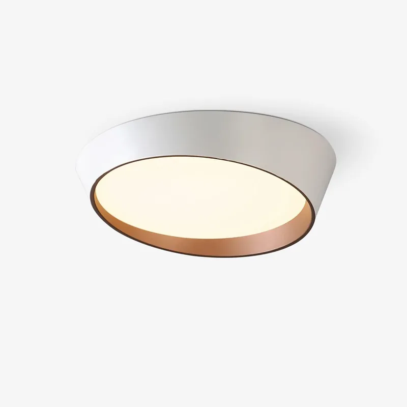 Avnoran Moderne Minimalistische Deckenlampe