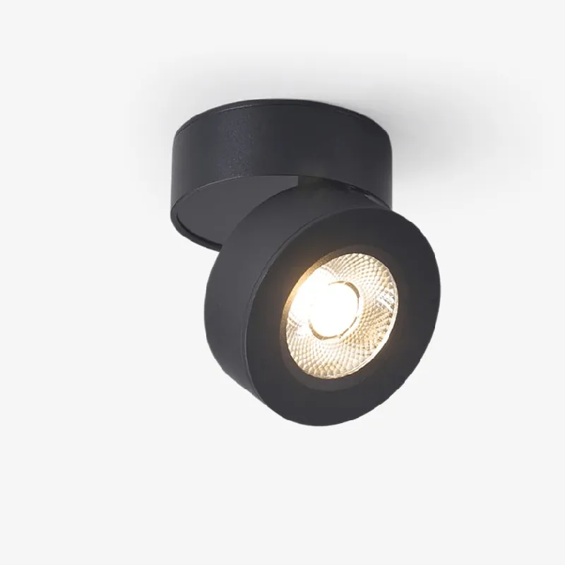 Lustra LED Downlight Rund Drehbar Einstellbar