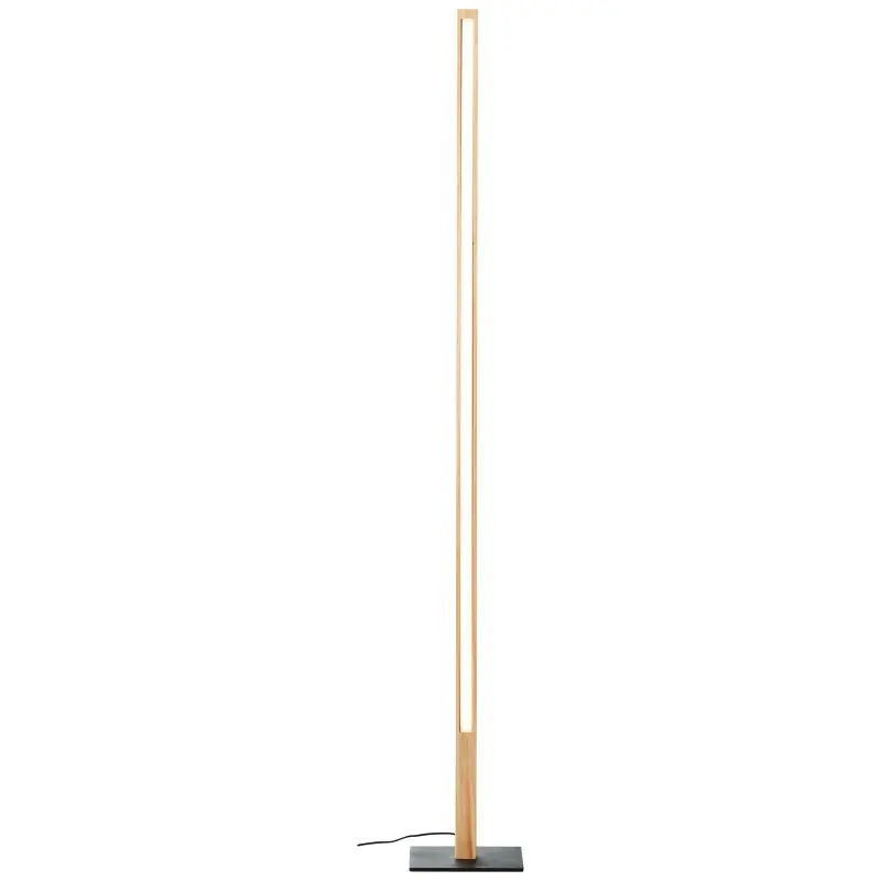 Arion lampadaire