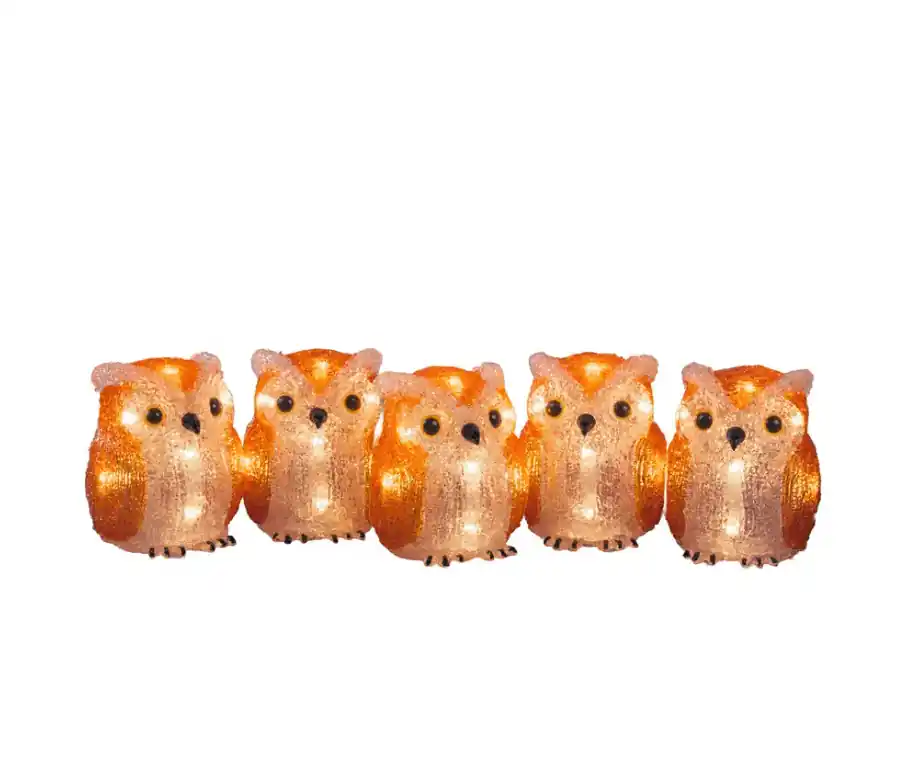 Famille De Chouettes 40 LED