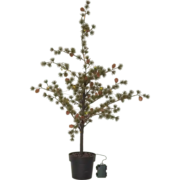 Larix 117cm