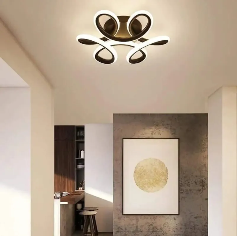 Ceiling Light Fixture | LED