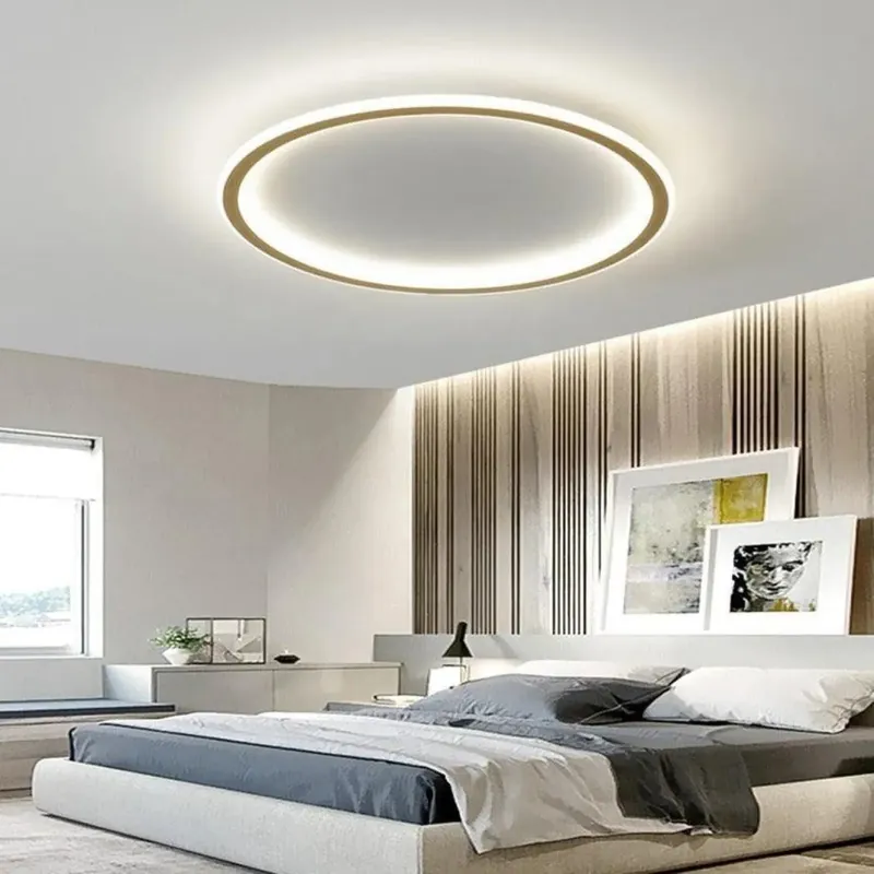 Ceiling Light Fixture | CER
