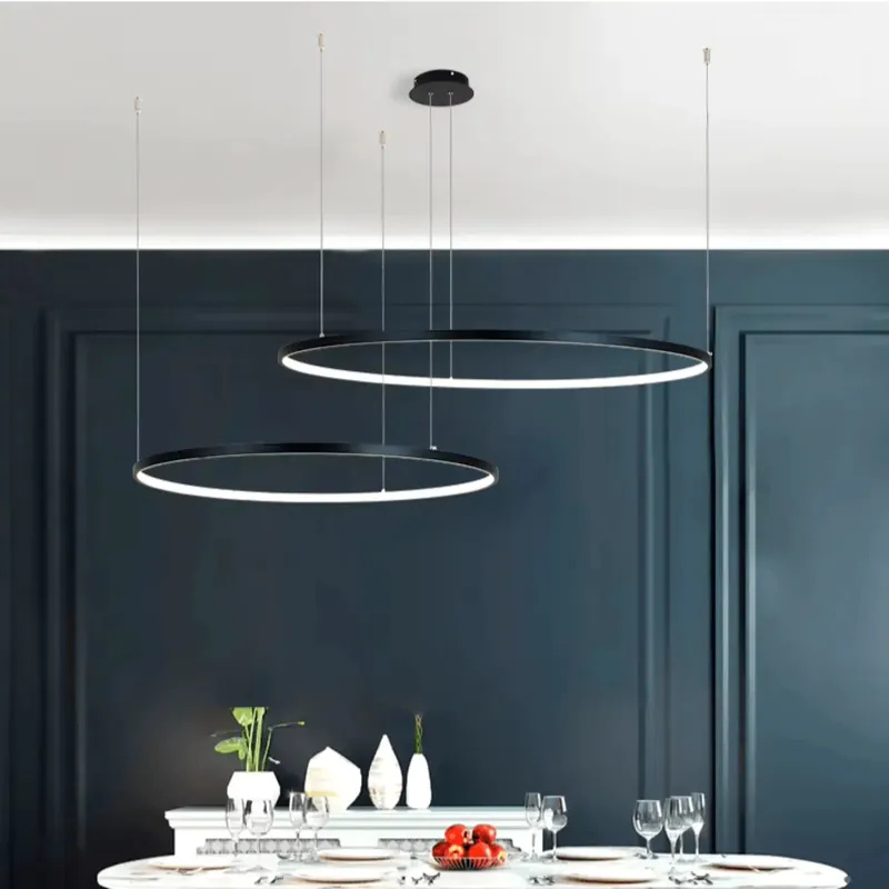 Suspended Luminaire | Circular