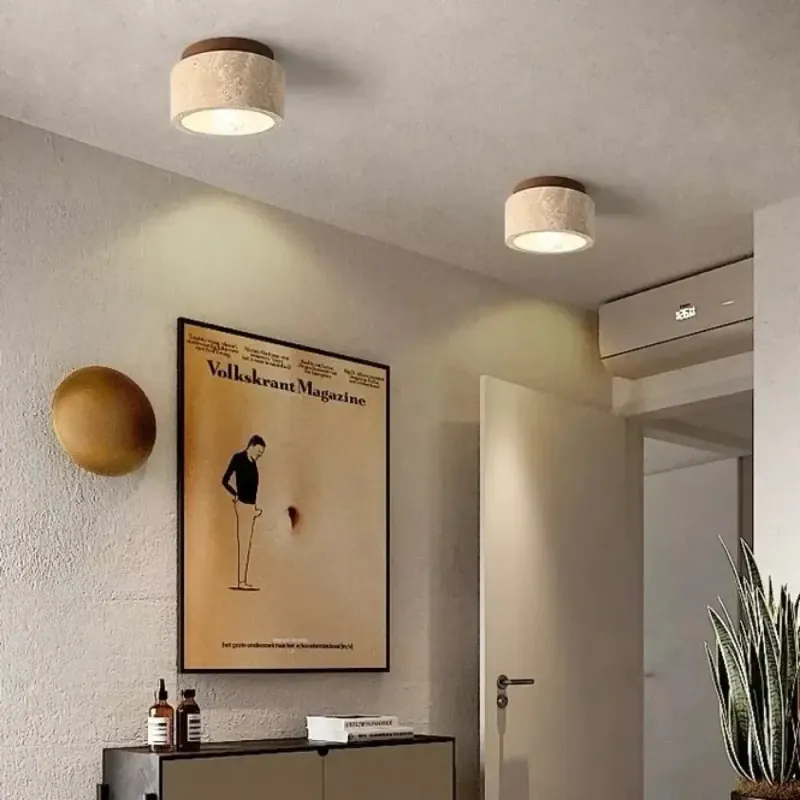 Ceiling Light Fixture | PIDRI