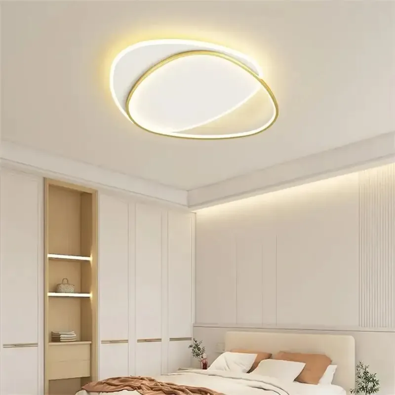 Ceiling Light Fixture | OVI