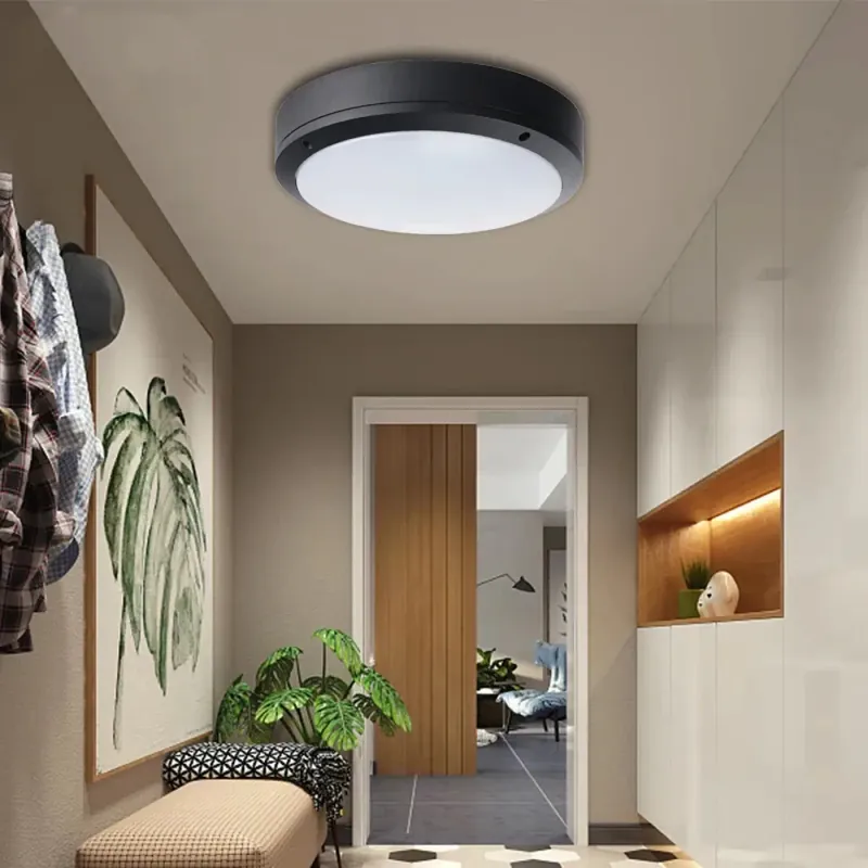 Ceiling Light | MUERE