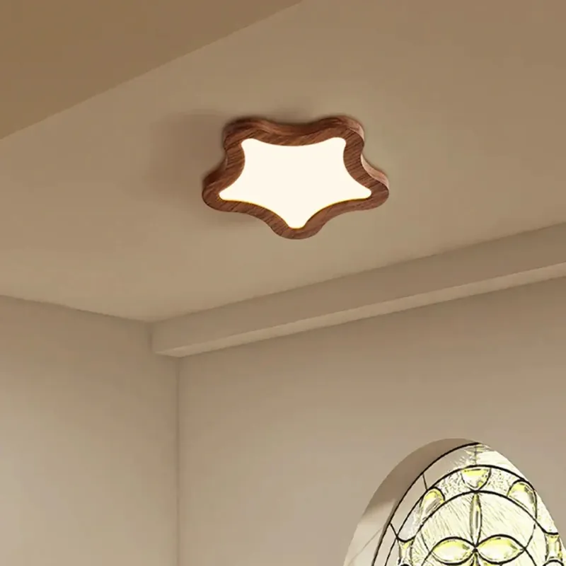 Ceiling Light Fixture | TOILES