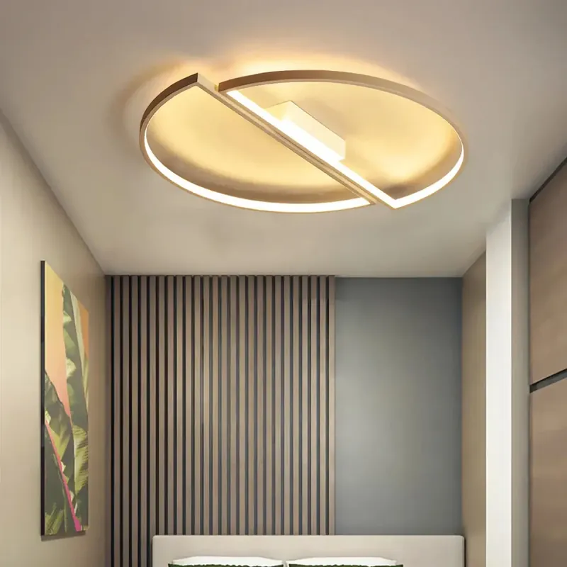 Ceiling Light Fixture | DRUTYPE