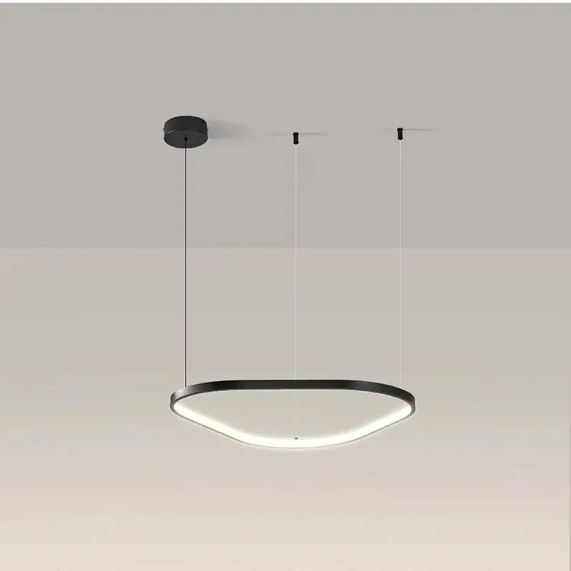 Suspended Light Fixture | LADITERU