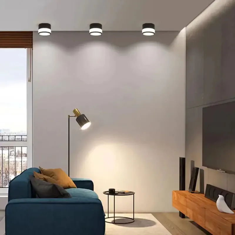Ceiling Light Fixture | DRELIN