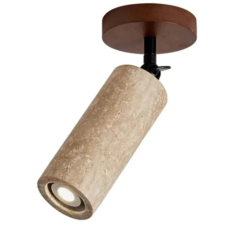 Ceiling Light Fixture | DOUJOURE