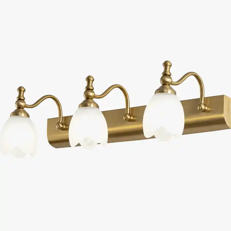 Applique murale de salle de bains LED européen chic pour miroir de maquillage