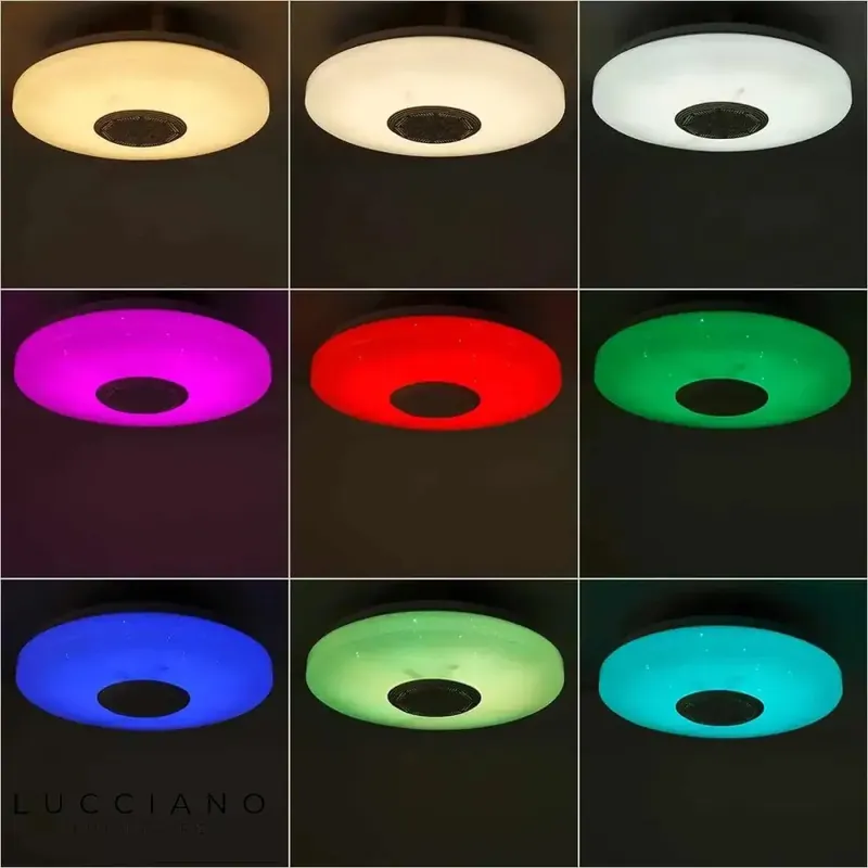 Bluetooth Music Ceiling Light