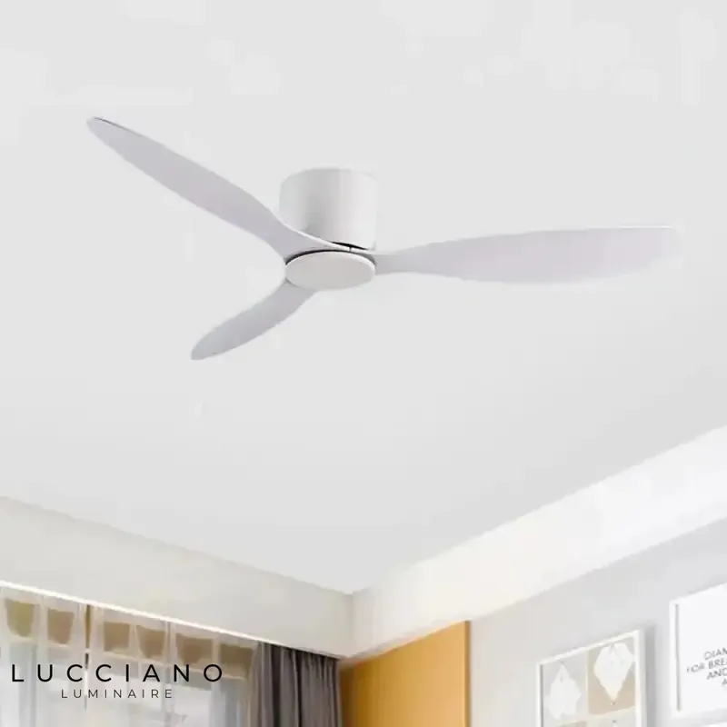 Ceiling fan with light
