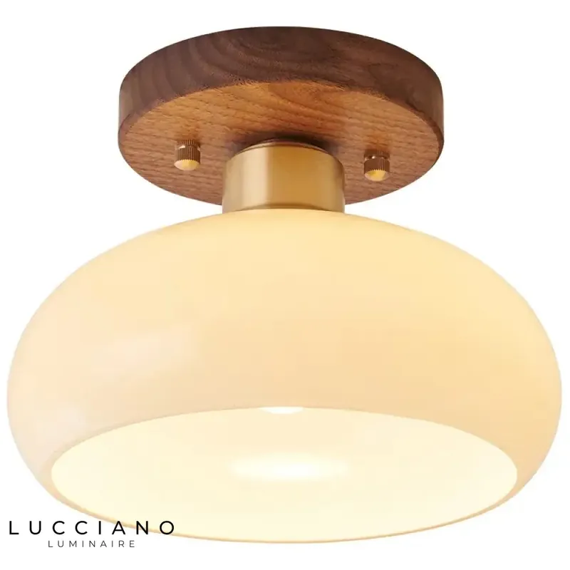 Hallway light fixture