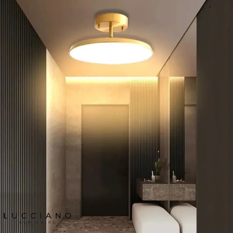 Entrance and hallway light fixture