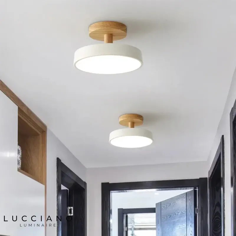 Hallway light fixture
