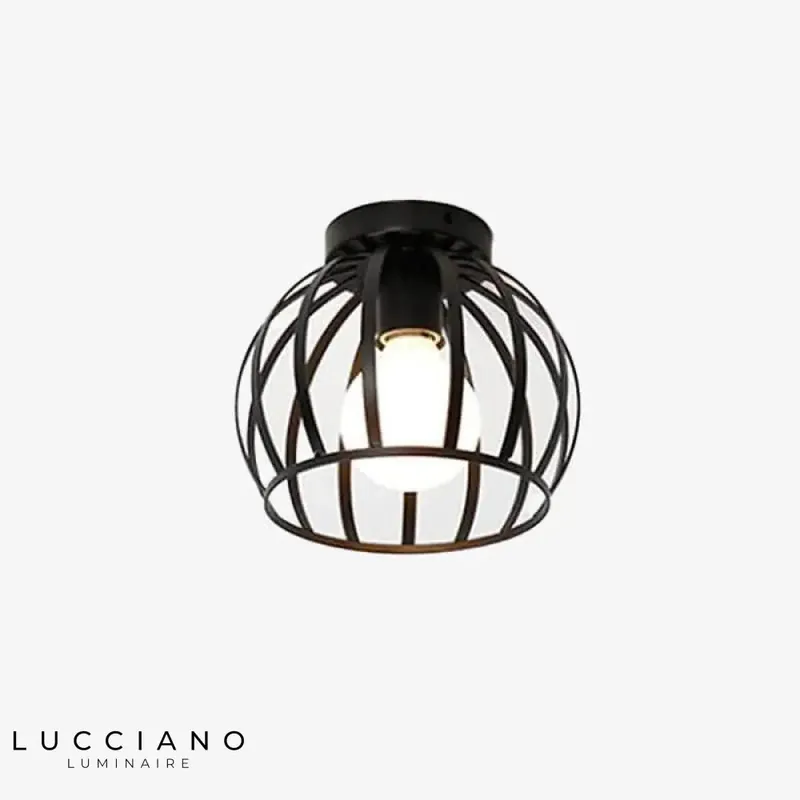 Black round cage LED luminaire