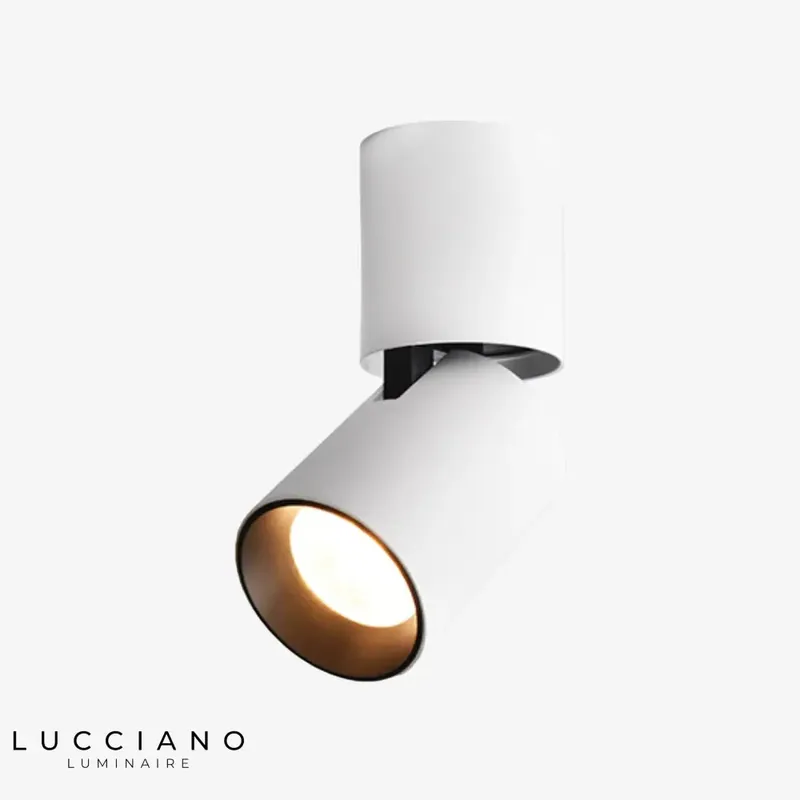 Adjustable cylindrical LED spotlights
