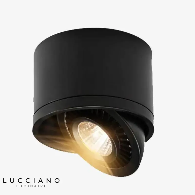 Adjustable Mounted LED Spot Light