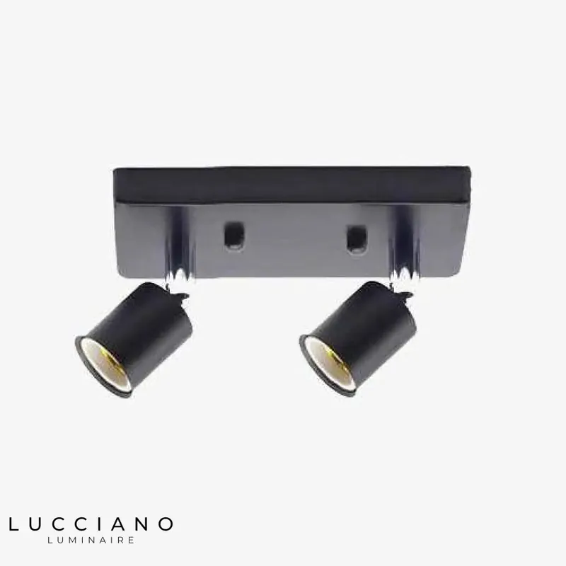 Adjustable Double Spot Luminaire