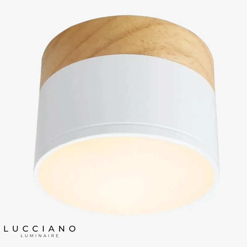 Round Wooden Base LED Luminaire