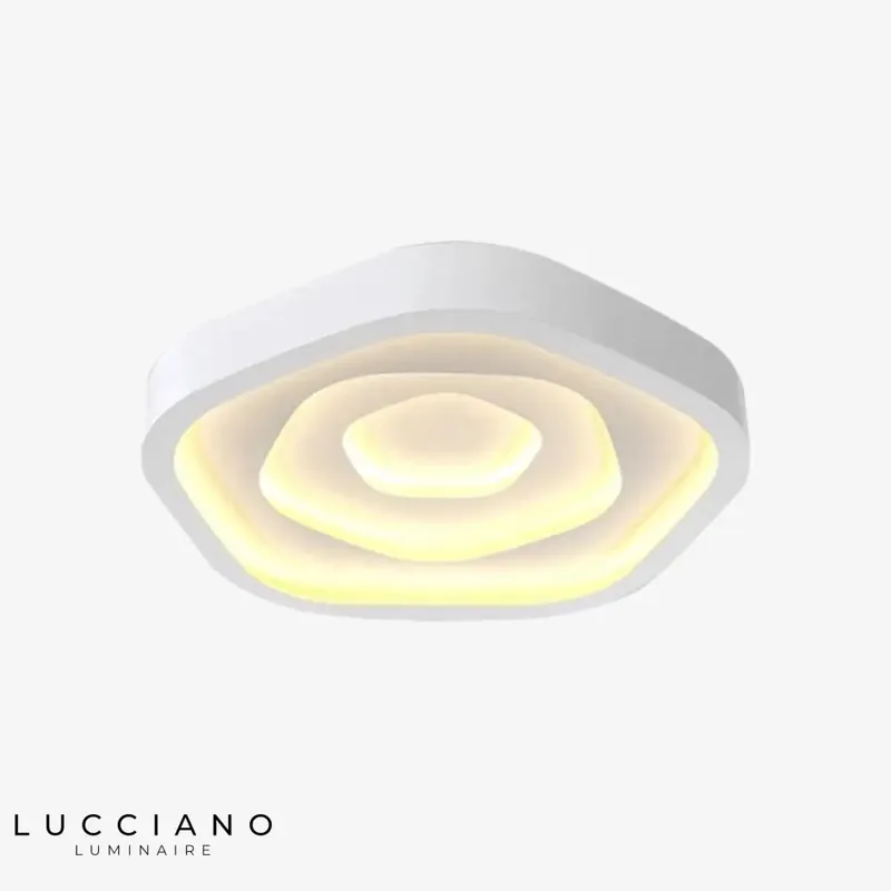 Geometric Design LED Ceiling Light