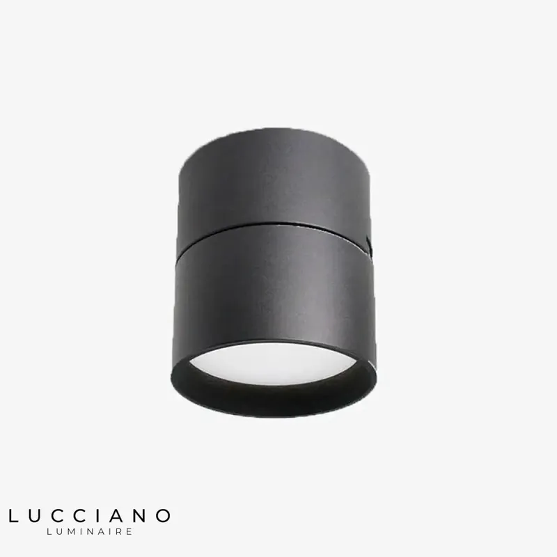 Modern adjustable round LED spot