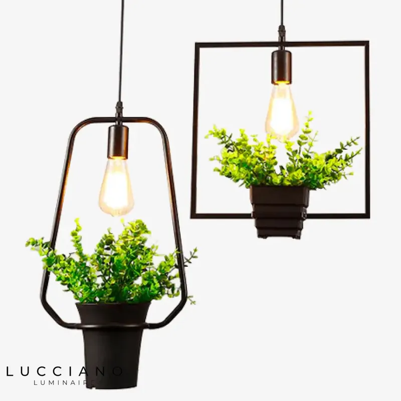 Trazos Green Plants Suspension