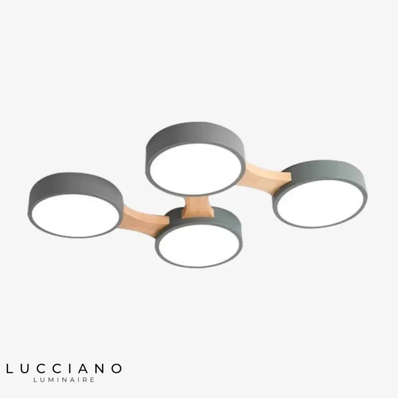 Botimi Multi-segment Round LED Ceiling Light