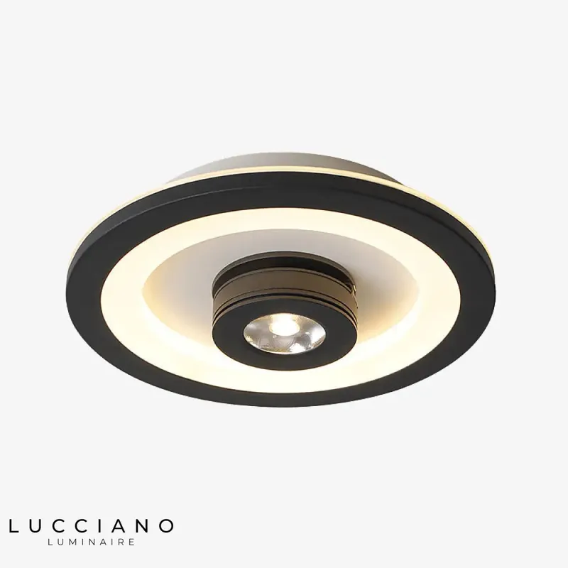 Designer LED ceiling light with adjustable spotlight