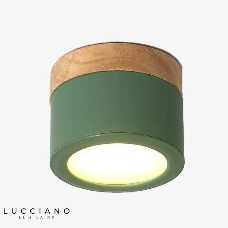 Cylindrical LED Spotlights with Wooden Base