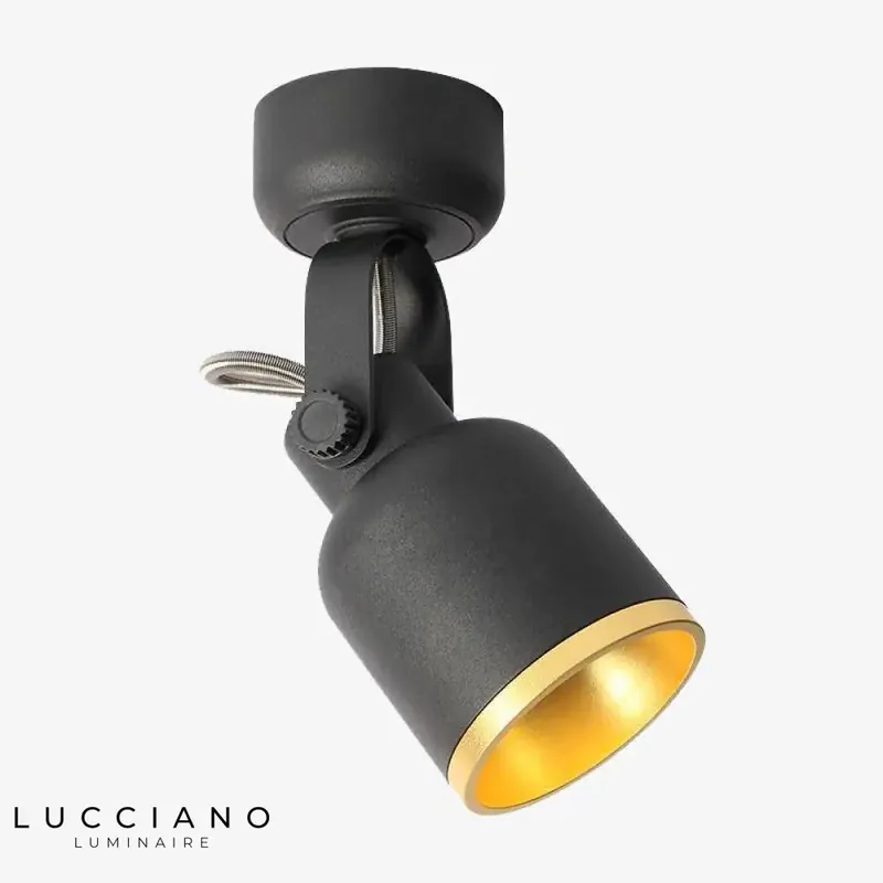 Dimmable Indoor LED Designer Ceiling Light