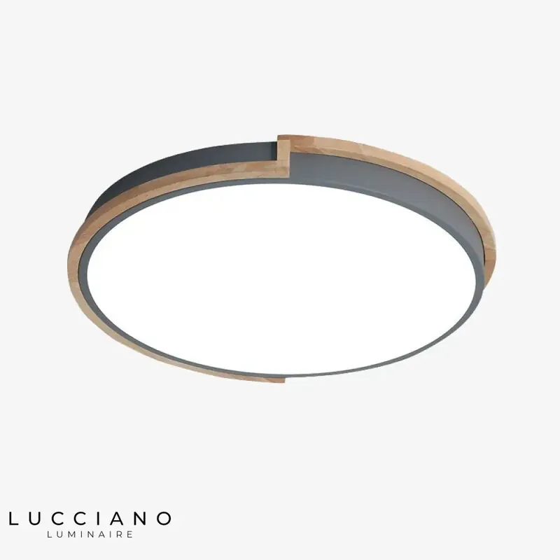 Celeste Dimmable Minimalist Round Ceiling Light
