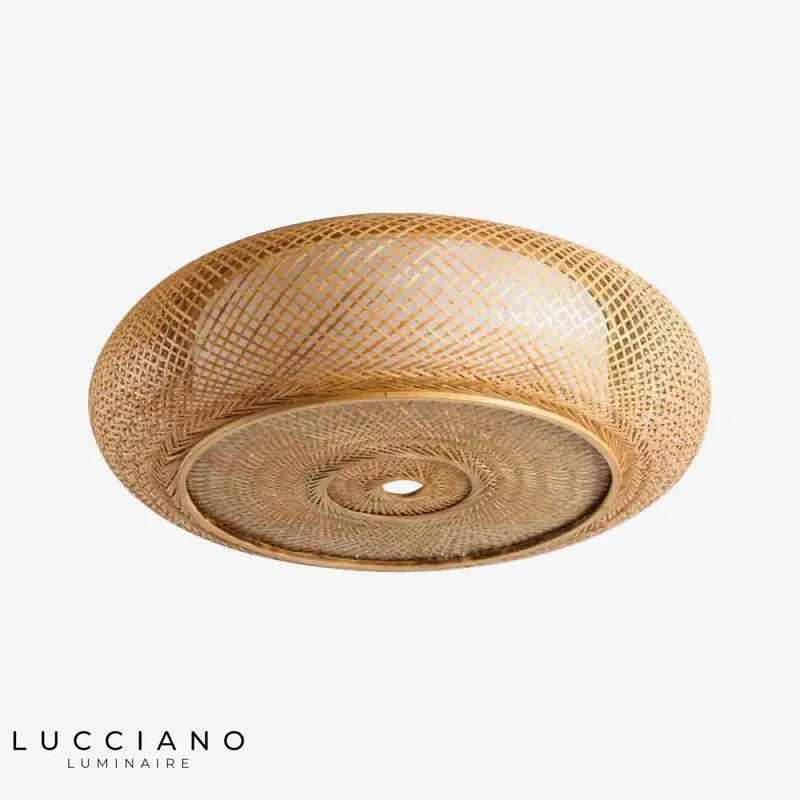 Round braided rattan LED ceiling light